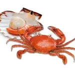 Przegrzebek i krab