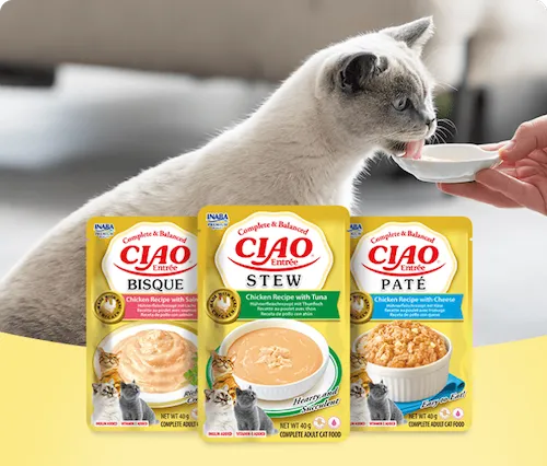 Ciao Entrée