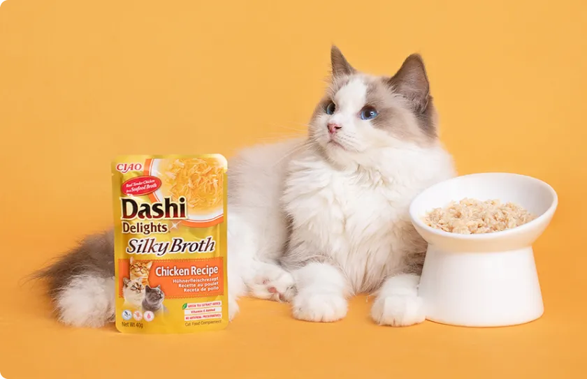Cat sitting next to Dashi Delights packaging and a bowl with pet food